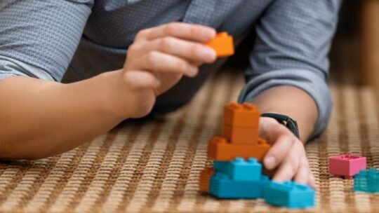 playing-lego-adult-顶楼的大象在线观看