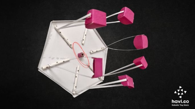 carnival ride model making step 13 日本妇人成熟免费中文字幕